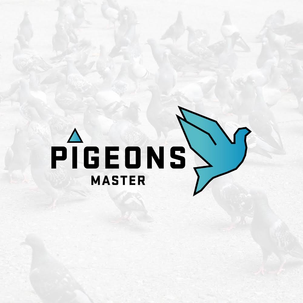 Pigeons Master - Found Media Logo Design